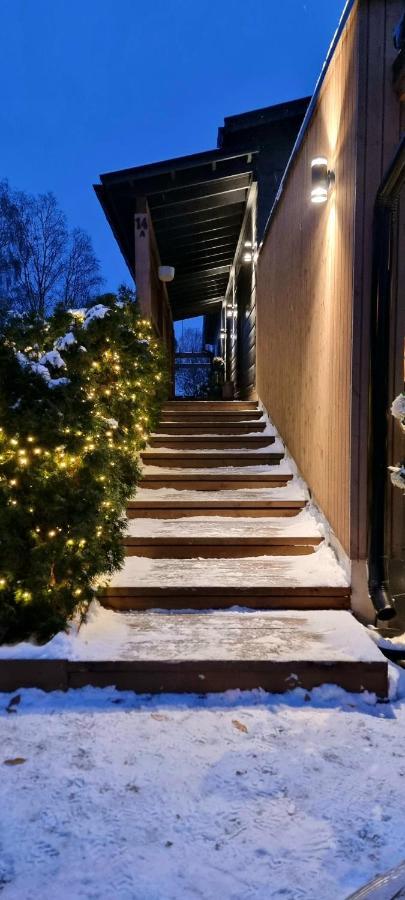Luxury Villa Rauhankatu ロヴァニエミ エクステリア 写真